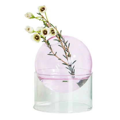 Hydroponic Glass Vase