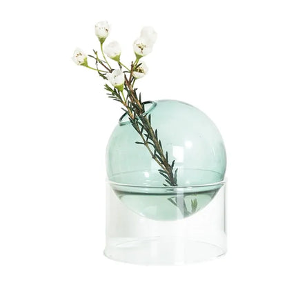 Hydroponic Glass Vase